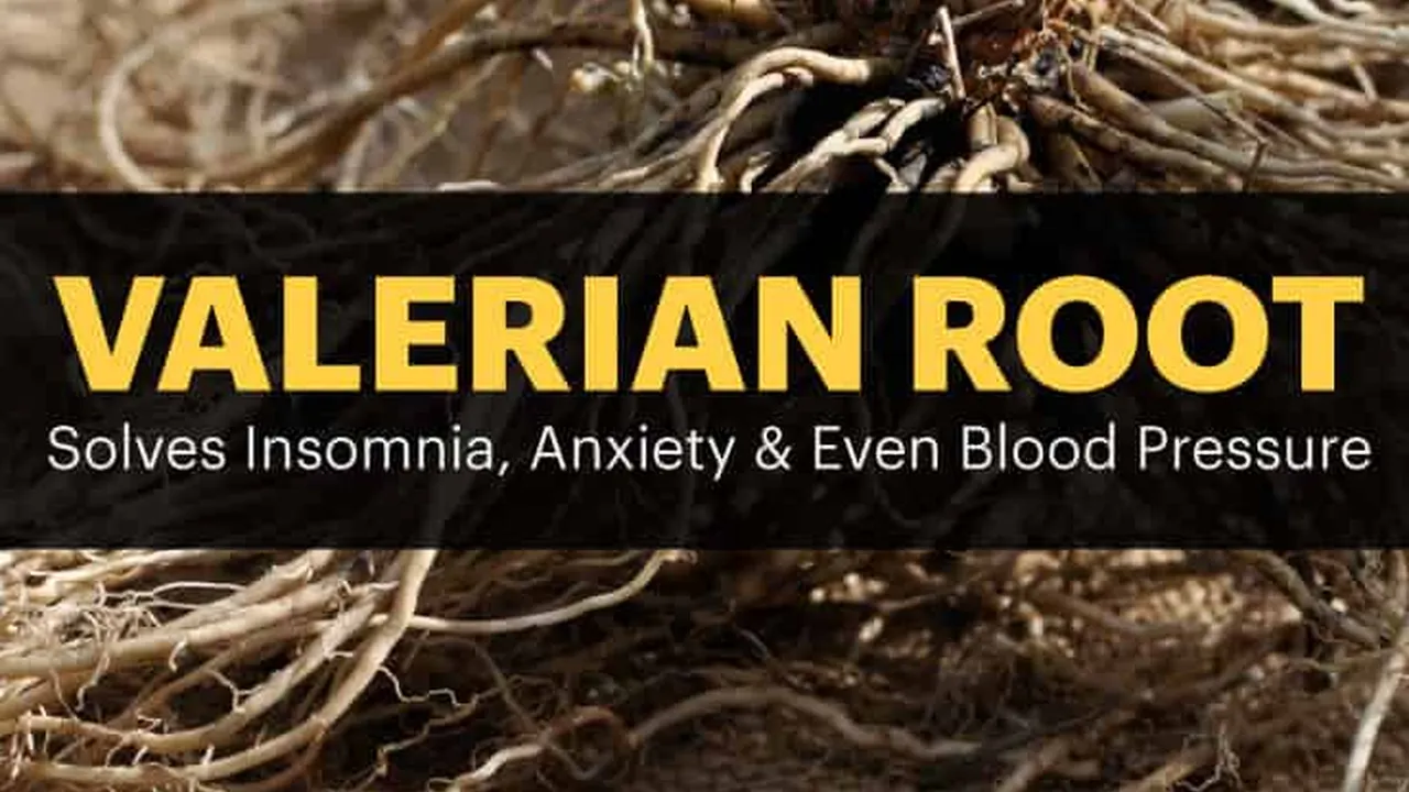 Two mint chocolate milkshakes with whipped cream and green sprinkles.